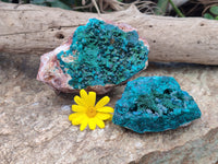 Natural Dioptase On Dolomite Specimens x 2 From Likasi, Congo