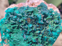 Natural Dioptase On Dolomite Specimens x 2 From Likasi, Congo