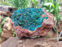 Natural Dioptase On Dolomite Specimens x 2 From Likasi, Congo