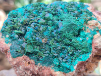 Natural Dioptase On Dolomite Specimens x 2 From Likasi, Congo