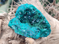 Natural Dioptase On Dolomite Specimens x 2 From Likasi, Congo