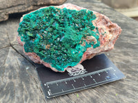 Natural Dioptase On Dolomite Specimens x 2 From Likasi, Congo