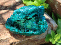 Natural Dioptase On Dolomite Specimens x 2 From Likasi, Congo