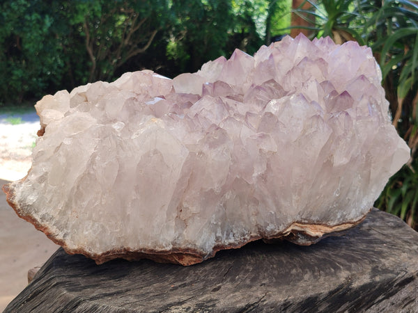 Natural Zululand Amethyst Agate Cluster x 1 From Jozini, South Africa