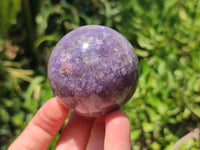 Polished Lepidolite with Pink Rubellite Spheres x 3 From Ambatondrazaka, Madagascar