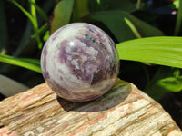 Polished Lepidolite with Pink Rubellite Spheres x 3 From Ambatondrazaka, Madagascar