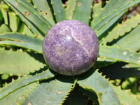 Polished Lepidolite with Pink Rubellite Spheres x 3 From Ambatondrazaka, Madagascar