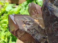 Natural Hematoid Quartz Cluster x 1 From Zimbabwe