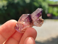 Natural Amethyst Quartz Crystals x 70 From Chiredzi, Zimbabwe