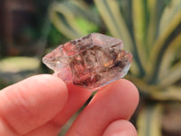 Natural Amethyst Quartz Crystals x 70 From Chiredzi, Zimbabwe