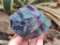 Natural Watermelon Fluorite Cobbed Specimens x 14 From Uis, Namibia