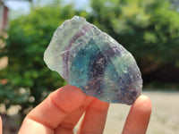 Natural Watermelon Fluorite Cobbed Specimens x 14 From Uis, Namibia