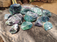 Natural Watermelon Fluorite Cobbed Specimens x 14 From Uis, Namibia