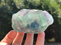 Natural Watermelon Fluorite Cobbed Specimens x 14 From Uis, Namibia