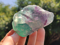 Natural Watermelon Fluorite Cobbed Specimens x 14 From Uis, Namibia