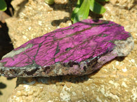 Polished On One Side Metallic Purpurite x 4 From Namibia