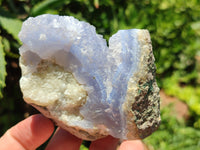 Natural Blue Lace Agate Geode Specimens x 12 From Malawi