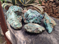 Natural Kyanite In Fuchsite Matrix Specimens x 4 From Zimbabwe