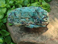 Natural Kyanite In Fuchsite Matrix Specimens x 4 From Zimbabwe