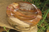 Polished Podocarpus Petrified Wood Bowl x 1 From Mahajanga, Madagascar