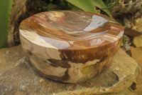 Polished Podocarpus Petrified Wood Bowl x 1 From Mahajanga, Madagascar