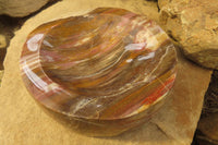 Polished Podocarpus Petrified Wood Bowl x 1 From Mahajanga, Madagascar