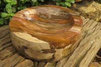 Polished Podocarpus Petrified Wood Bowl x 1 From Mahajanga, Madagascar