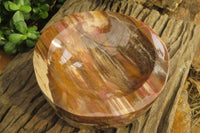 Polished Podocarpus Petrified Wood Bowl x 1 From Mahajanga, Madagascar