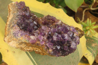 Natural Zululand Amethyst Geodes x 6 from Jozini, South Africa