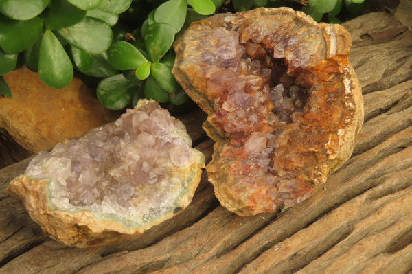 Natural Zululand Amethyst Geodes x 6 from Jozini, South Africa