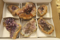 Natural Zululand Amethyst Geodes x 6 from Jozini, South Africa