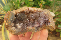 Natural Zululand Amethyst Geodes x 6 from Jozini, South Africa