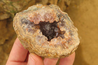 Natural Zululand Amethyst Geodes x 6 from Jozini, South Africa