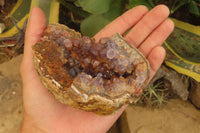 Natural Zululand Amethyst Geodes x 6 from Jozini, South Africa