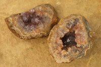 Natural Zululand Amethyst Geodes x 6 from Jozini, South Africa