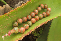 Polished Unakite Beaded Stretch Buddha Bracelet - Sold Per Item - From South Africa