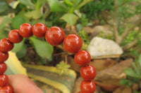 Polished Red Jasper Beaded Clip On Bracelet - Sold Per Item - From South Africa