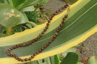 Polished Rainbow Jasper Faceted Bead Necklace - Sold Per Item - From Madagascar