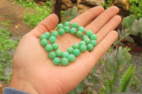 Polished Gem Nickel Chrysoprase Bead Necklace - Sold Per Item - From Australia