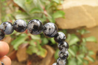 Polished Snowflake Obsidian Beaded Clip On Bracelet  - sold per Pair - From Mexico