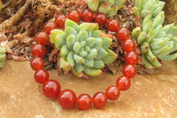 Polished Carnelian Agate Beaded Clip On Bracelet  - Sold per Pair - From South Africa