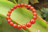 Polished Carnelian Agate Beaded Clip On Bracelet  - Sold per Pair - From South Africa