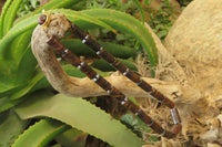 Polished Banded Tiger Iron Jasper Cylinder Shaped Bead Necklace  - Sold Per Item - From Australia