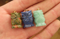 Polished Mixed Box Set of 12 Gemstone Owl Pendants with Gold Clasp - Sold Per Box - From Southern Africa