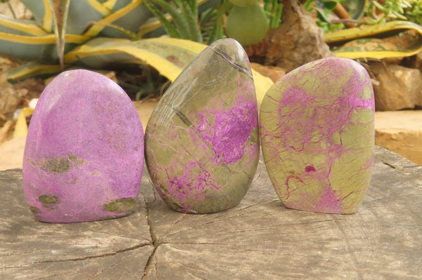 Polished Stichtite Standing Free Forms x 6 From Barberton, South Africa