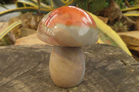 Polished Polychrome Jasper Mushrooms x 6 From Madagascar