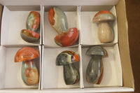 Polished Polychrome Jasper Mushrooms x 6 From Madagascar