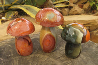 Polished Polychrome Jasper Mushrooms x 6 From Madagascar