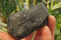 Natural Alluvial Schorl Black Tourmaline Specimens x 6 From Zimbabwe