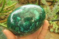 Polished Flower Banded Malachite Gemstone Egg x 1 From Congo